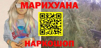 мдпв Бийск