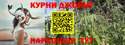 мдпв Бийск