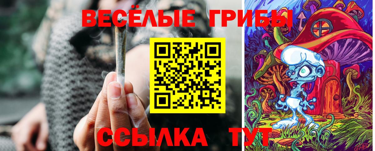 Камышин  Псилоцибиновые грибы ЛСД  Вход с VPN 